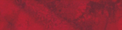 209 / /