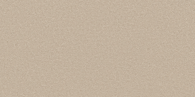 ������������ ����� ����� PSR - W2507 / ������ �����