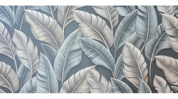 XPS ����� XL Print 3 / �����