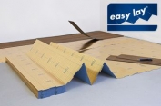 Easy lay (   )